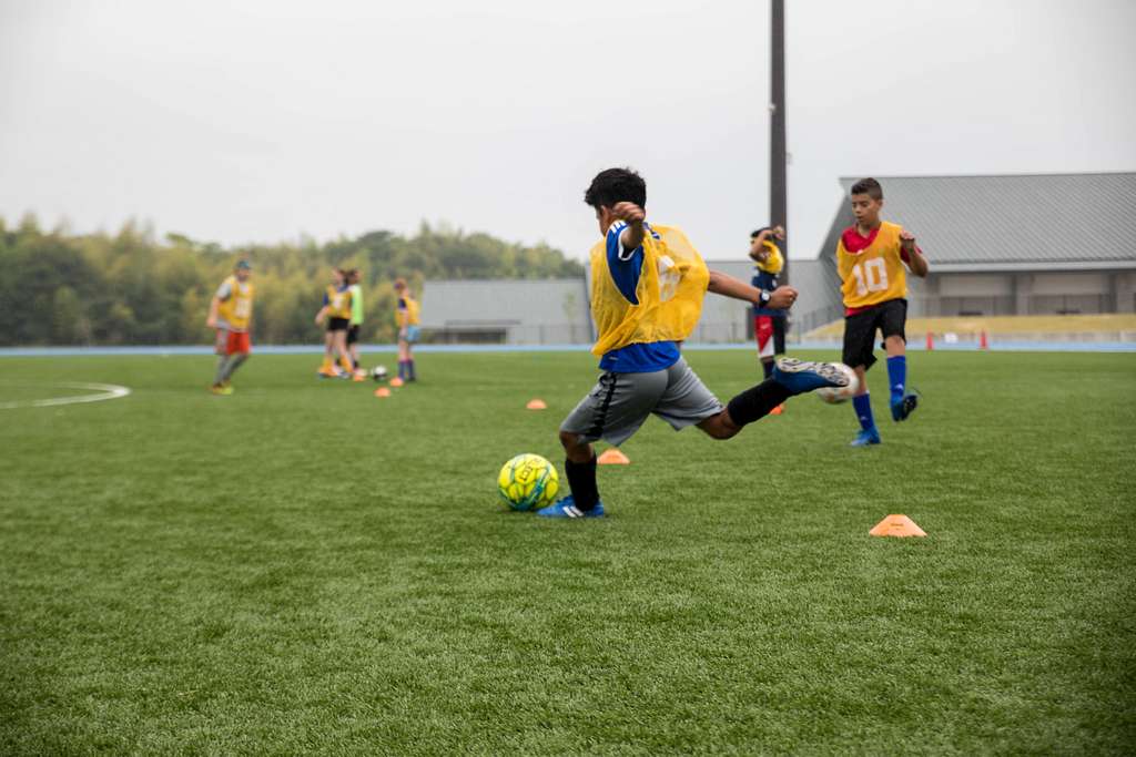 Soccer training session